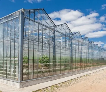 Modern greenhouses